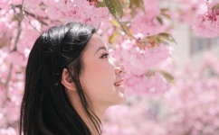 美国保罗禁忌1_3集家电影